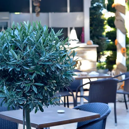 Rodolithos Σταυρός